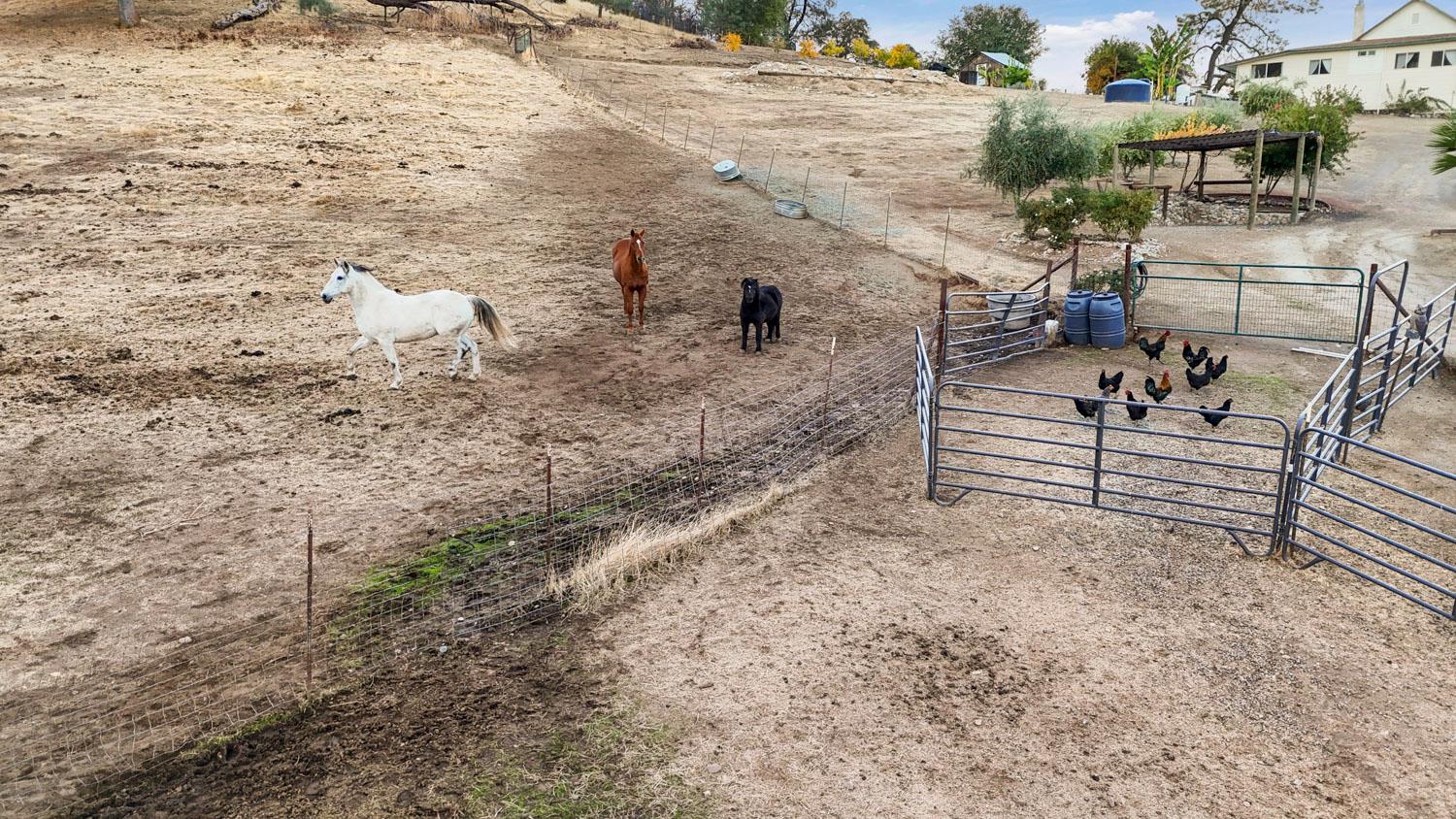 178 Carmel Road Burson, CA 95225 - Photo 64 of 67