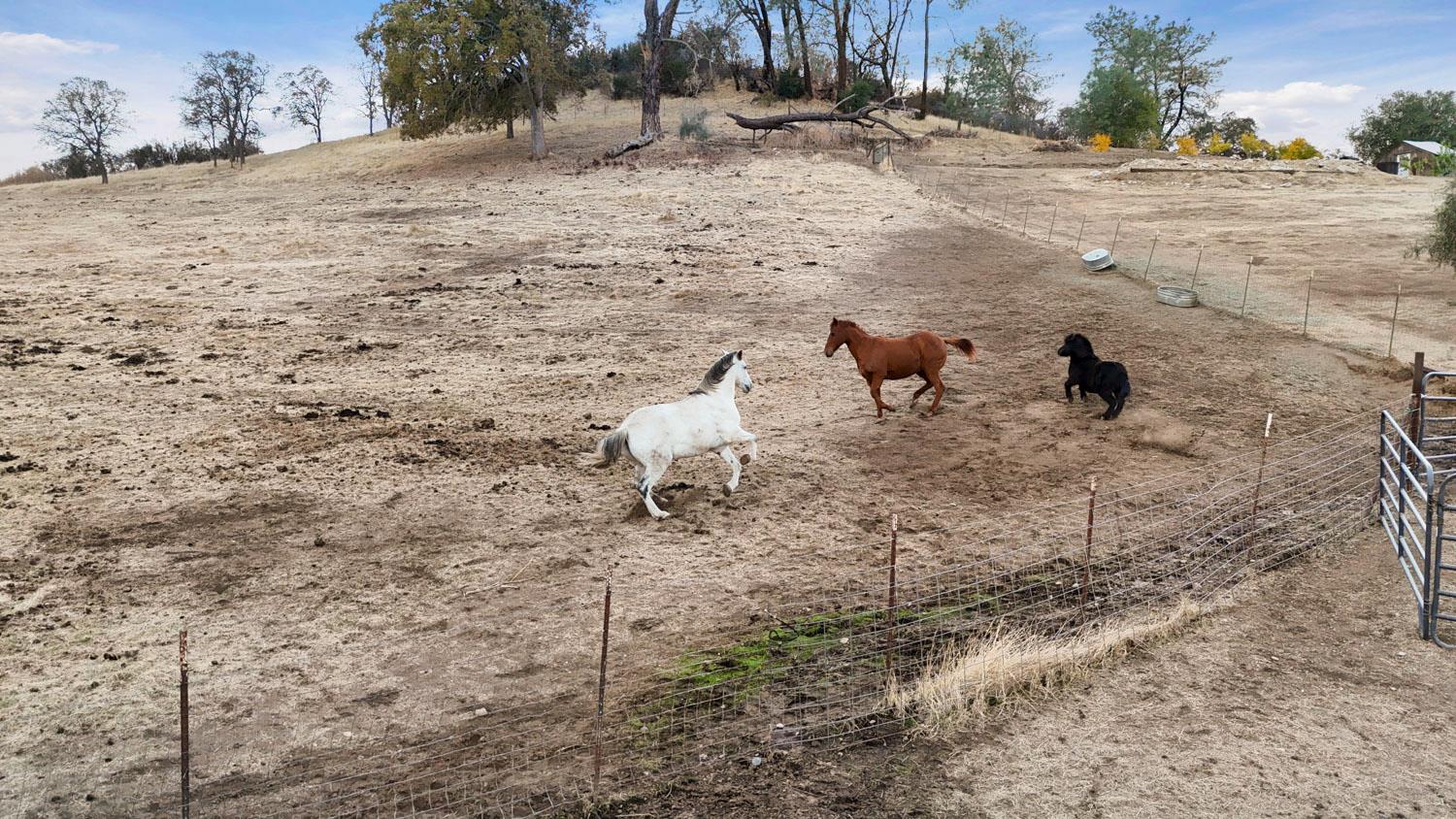 178 Carmel Road Burson, CA 95225 - Photo 65 of 67