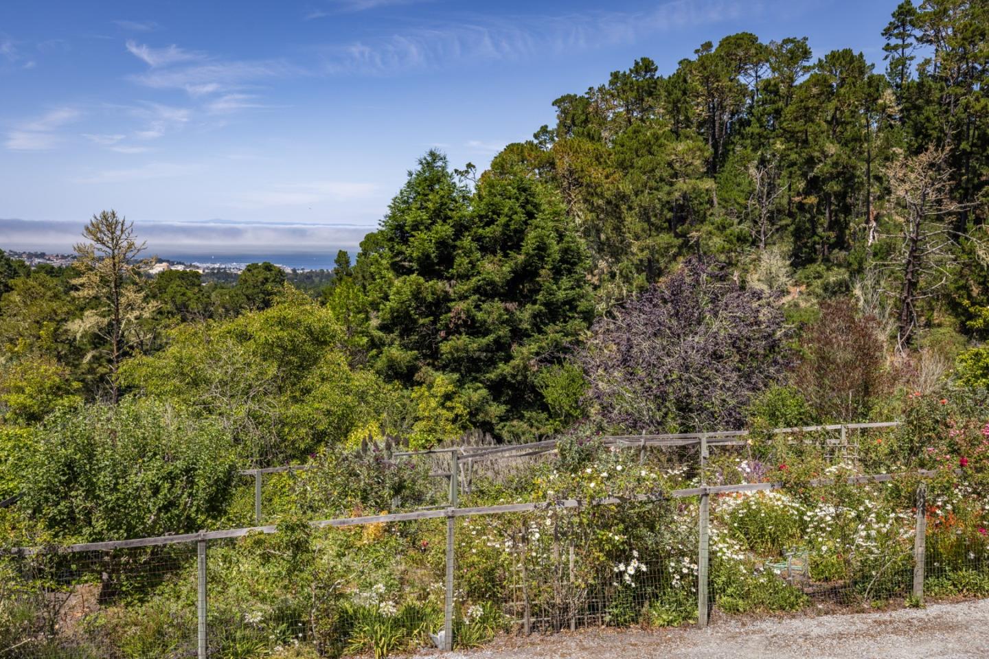 540 Aguajito Road Carmel, CA 93923 - Photo 30 of 35 a view of a bunch of trees and bushes