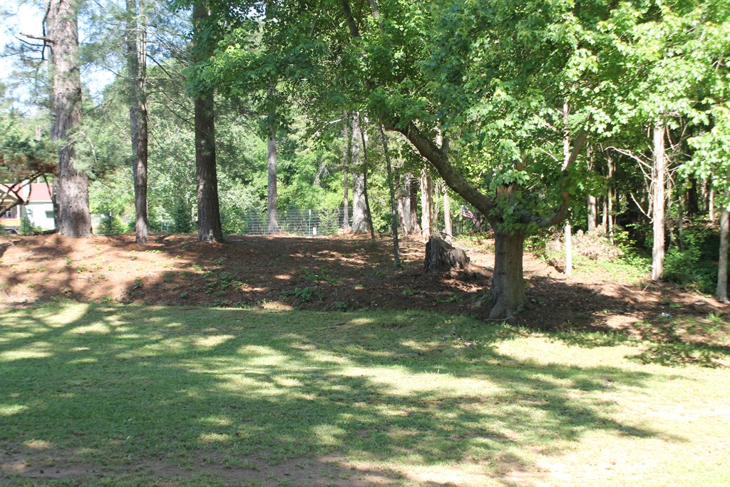 7375 Riverfork Road Waterloo, SC 29384 - Photo 46 of 50