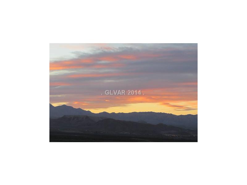 2460 Rue Bienville Way Henderson, NV 89044 - Photo 20 of 25 Property Photo.