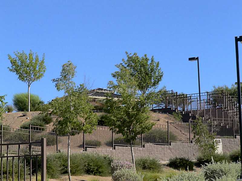 2460 Rue Bienville Way Henderson, NV 89044 - Photo 25 of 25 Property Photo.