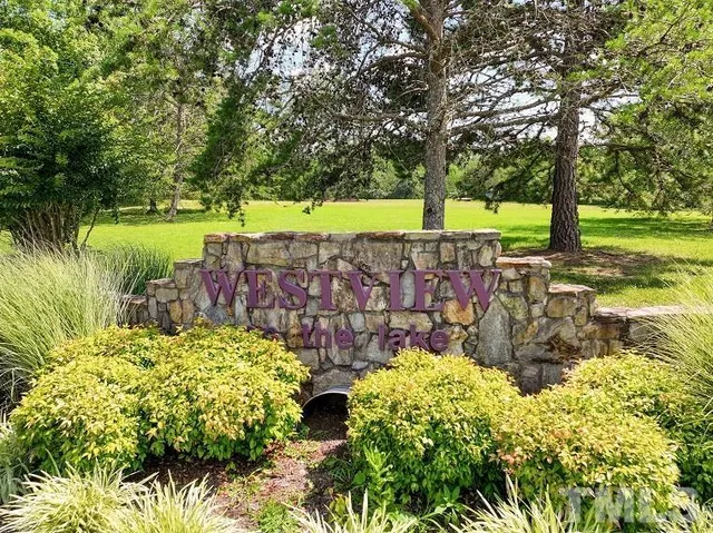 a view of a garden with large trees