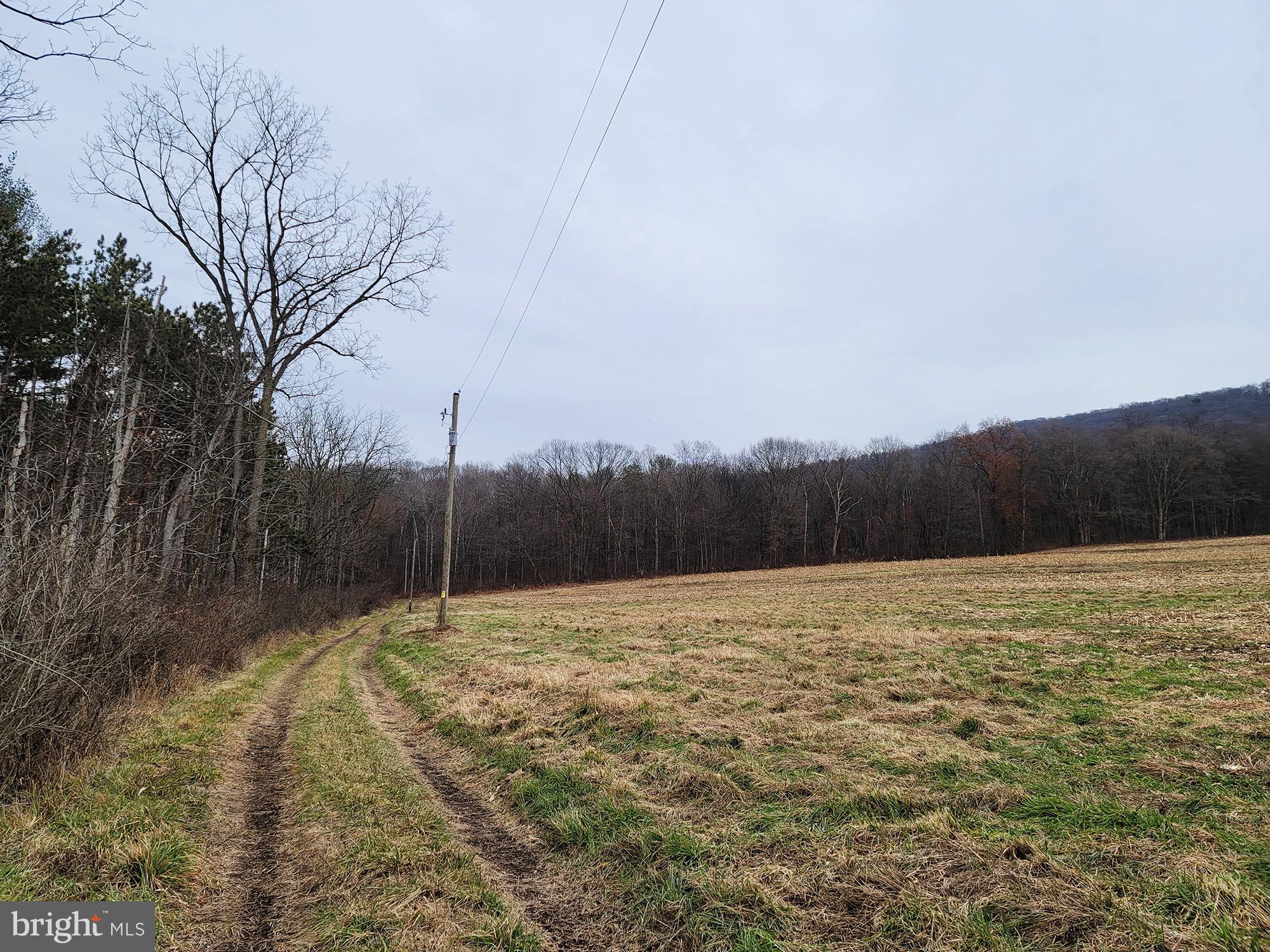 86 Briar Road Pitman, PA 17964 - Photo 7 of 39 Gallery Image 7