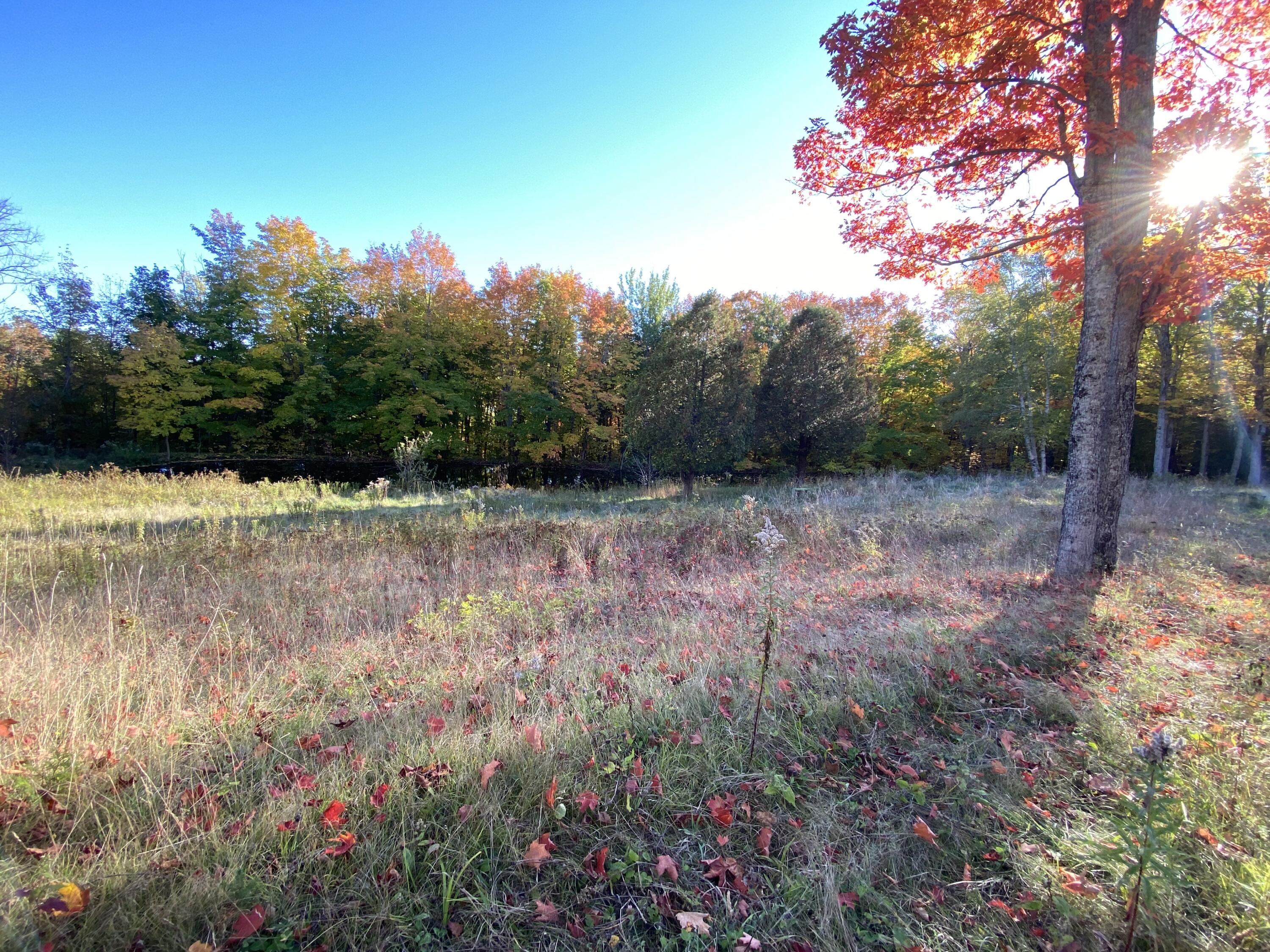 44 Sugartree Road Madawaska, ME 04773 - Photo 69 of 90 IMG_7577