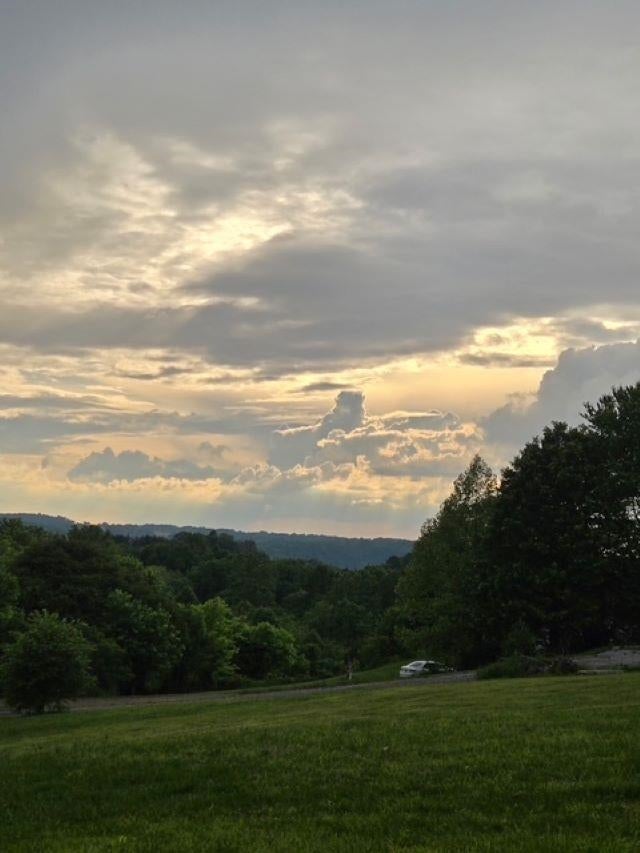 554 Pope Road Scottsville, KY 42164 - Photo 19 of 26 Gallery Image 19