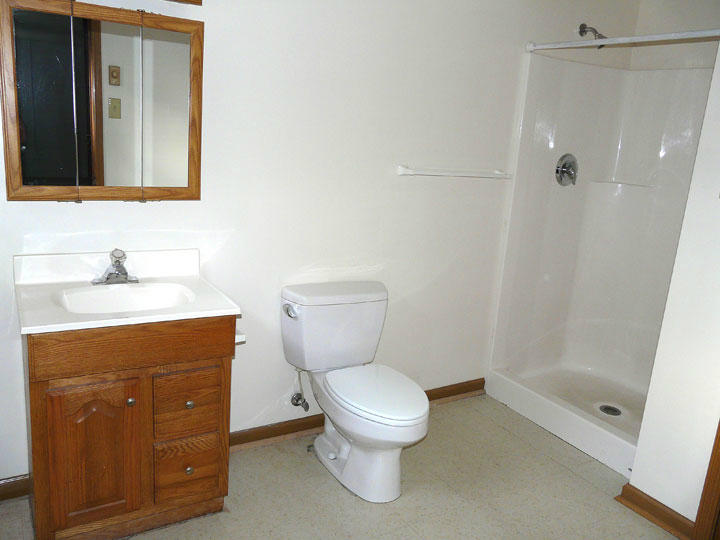3662 Keagy Road Southwest Roanoke, VA 24018 - Photo 10 of 11 Bsmt-bath