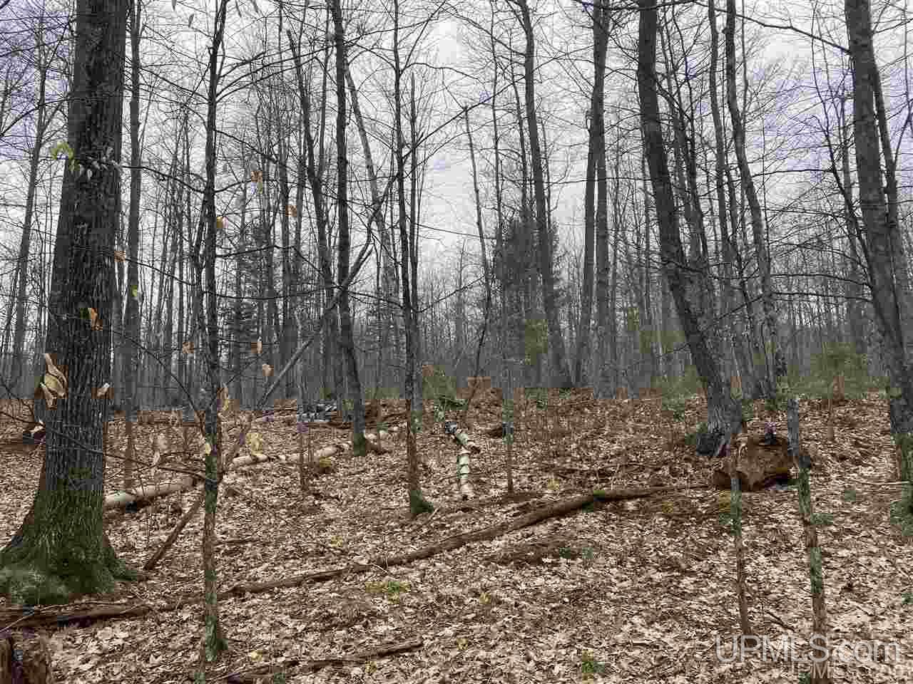Tbd Plains Cutoff Road Baraga, MI 49908 - Photo 10 of 49