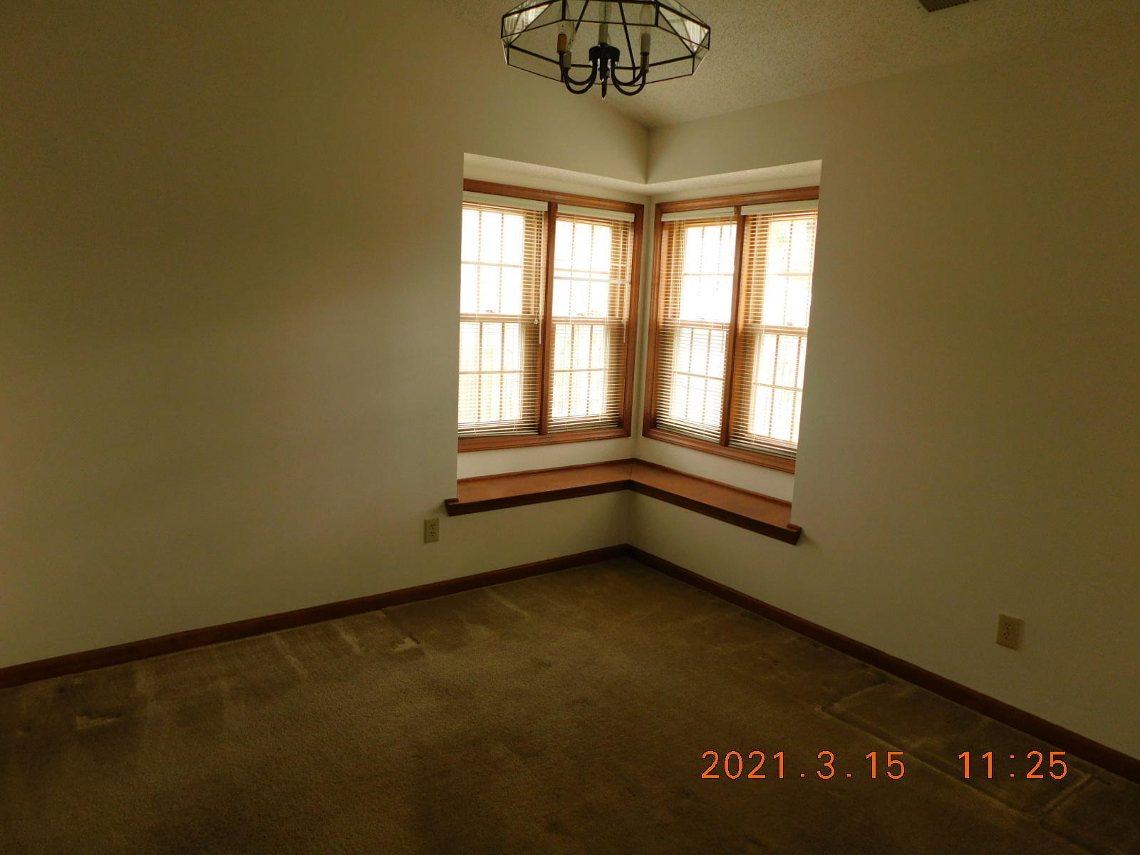 180 Raintree Circle Jacksonville, NC 28540 - Photo 8 of 20 DSCN3916