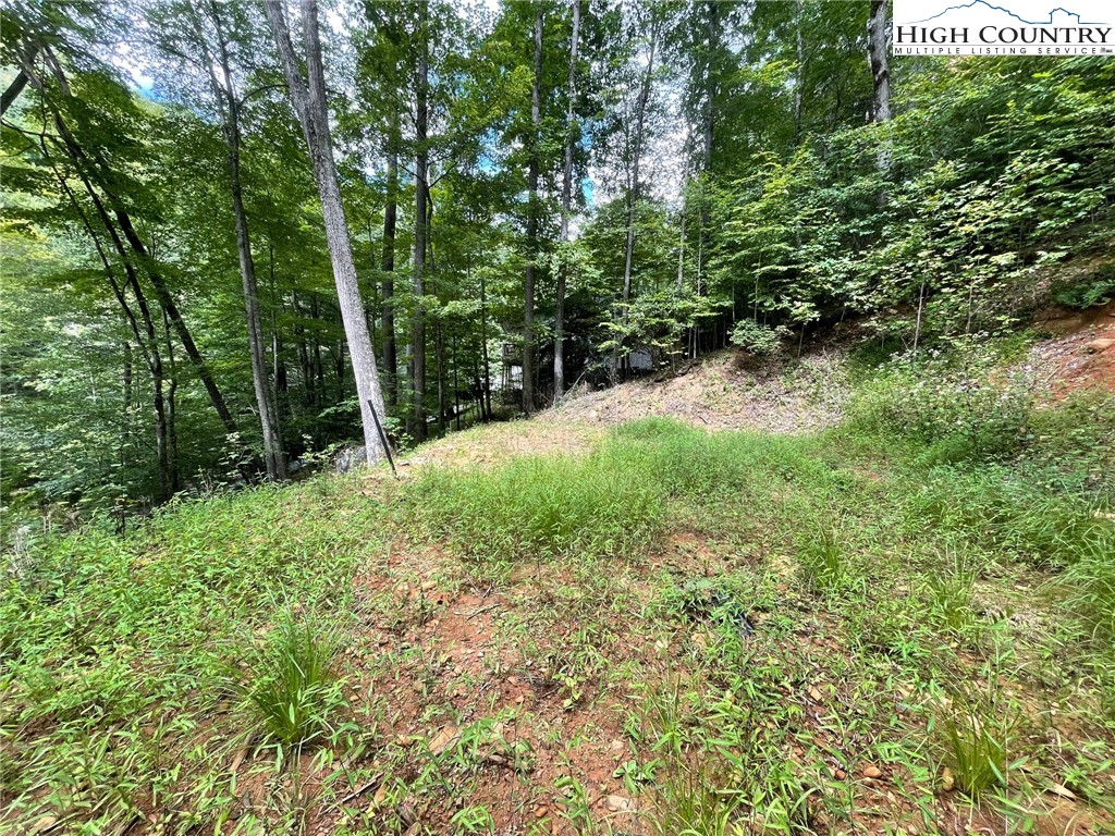 Pond Road Boone, NC 28607 - Photo 8 of 13 Gallery Image 8