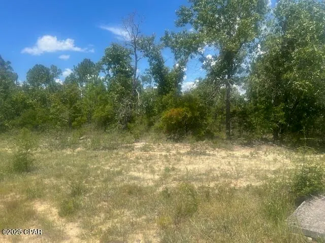 $14,500 | Tbd Cachet Court, Unit 9, Chipley, FL 32428