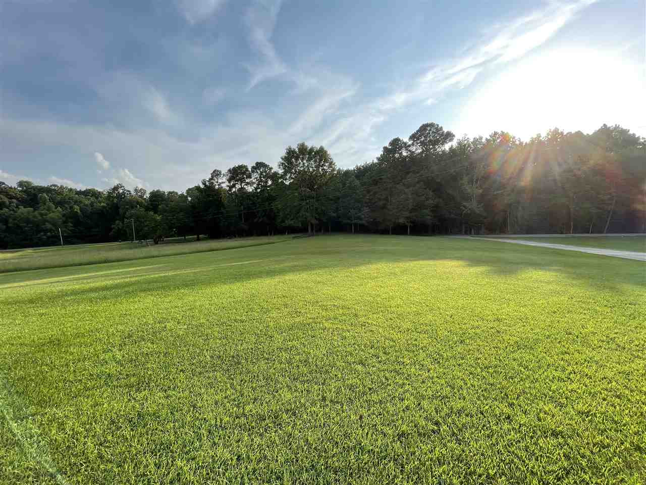 2563 Cedar Grove Road Lena, MS 39094 - Photo 17 of 43 Photo 17