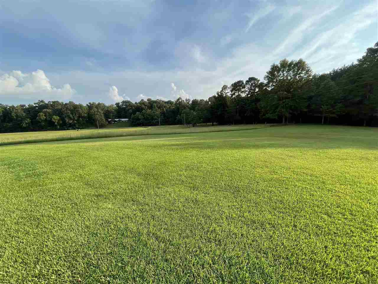 2563 Cedar Grove Road Lena, MS 39094 - Photo 19 of 43 Photo 19