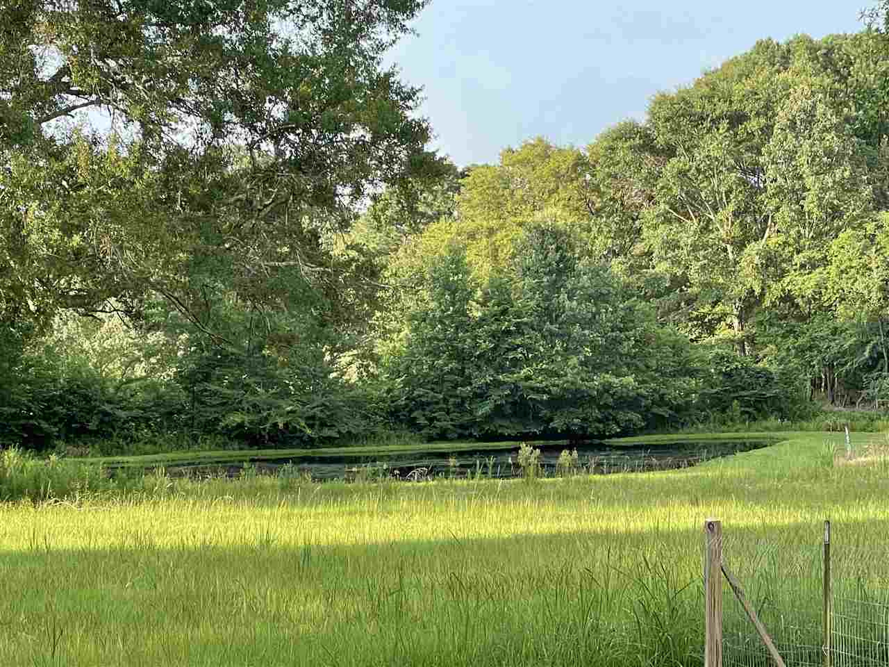 2563 Cedar Grove Road Lena, MS 39094 - Photo 24 of 43 Photo 24
