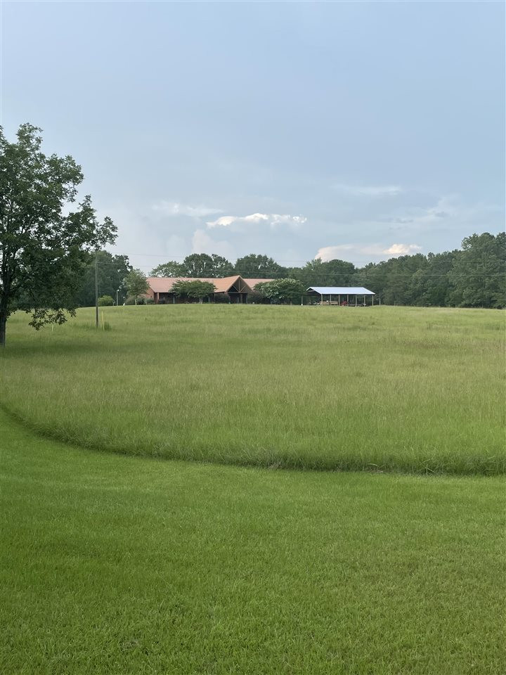 2563 Cedar Grove Road Lena, MS 39094 - Photo 3 of 43 Photo 3