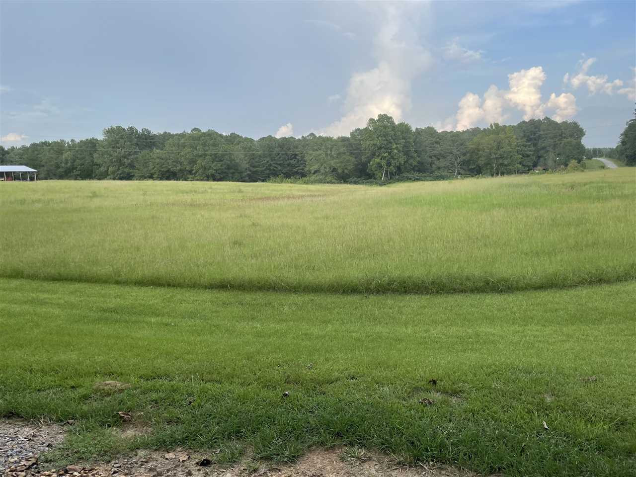 2563 Cedar Grove Road Lena, MS 39094 - Photo 4 of 43 Photo 4