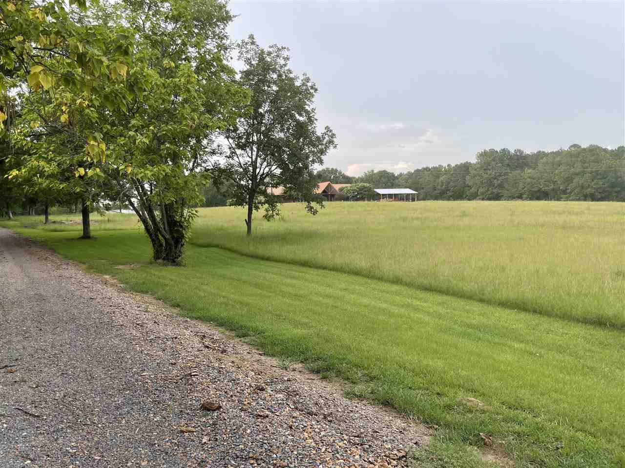 2563 Cedar Grove Road Lena, MS 39094 - Photo 6 of 43 Photo 6