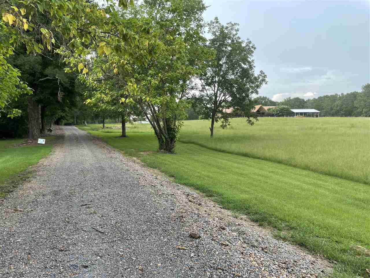 2563 Cedar Grove Road Lena, MS 39094 - Photo 7 of 43 Photo 7