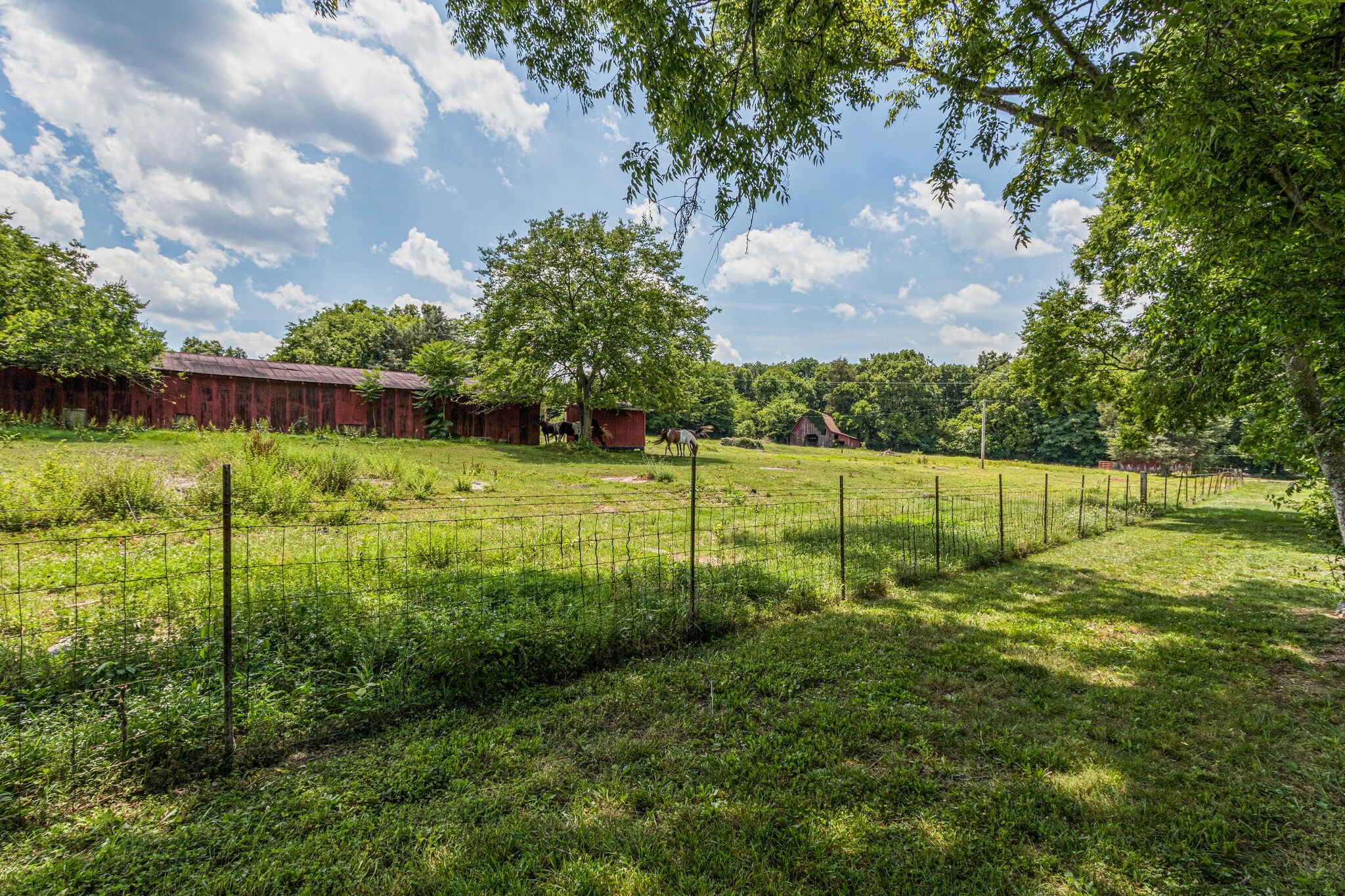 9527 Franklin Road Murfreesboro, TN 37128 - Photo 26 of 28 Gallery Image 26
