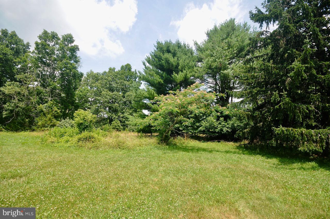 1895 Tuckahoe Road Franklinville, NJ 08322 - Photo 22 of 27