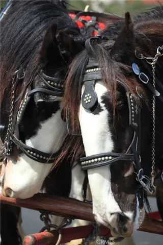 $5,800 | 28111 Via Rueda, San Juan Capistrano, CA 92675