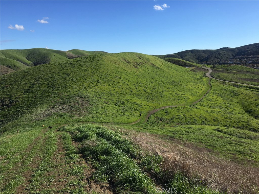 28111 Via Rueda San Juan Capistrano, CA 92675 - Photo 29 of 30 a view of a lush green hillside and a houses