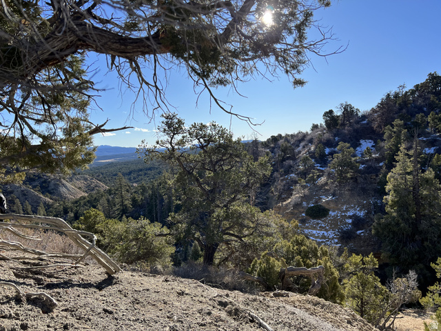 38 Broken Branch Road, Unit 38 Kanab, UT 84741 - Photo 33 of 53 Expansive natural landscape featuring varied topography, mature evergreen trees, and distant mountain ranges under a clear sky