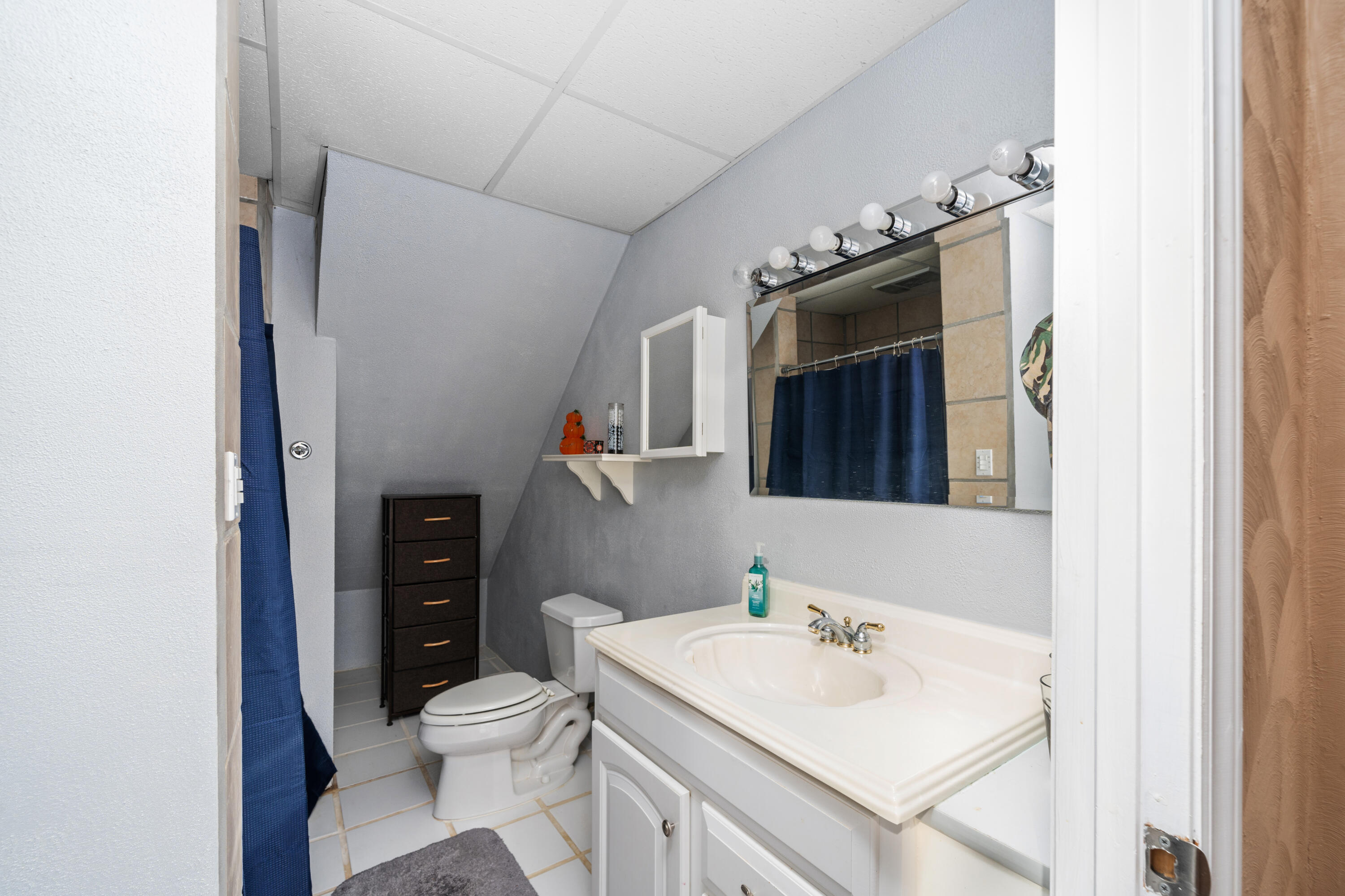 191 Pin Oak Drive Blue Ridge, VA 24064 - Photo 23 of 26 a bathroom with a sink toilet and shower