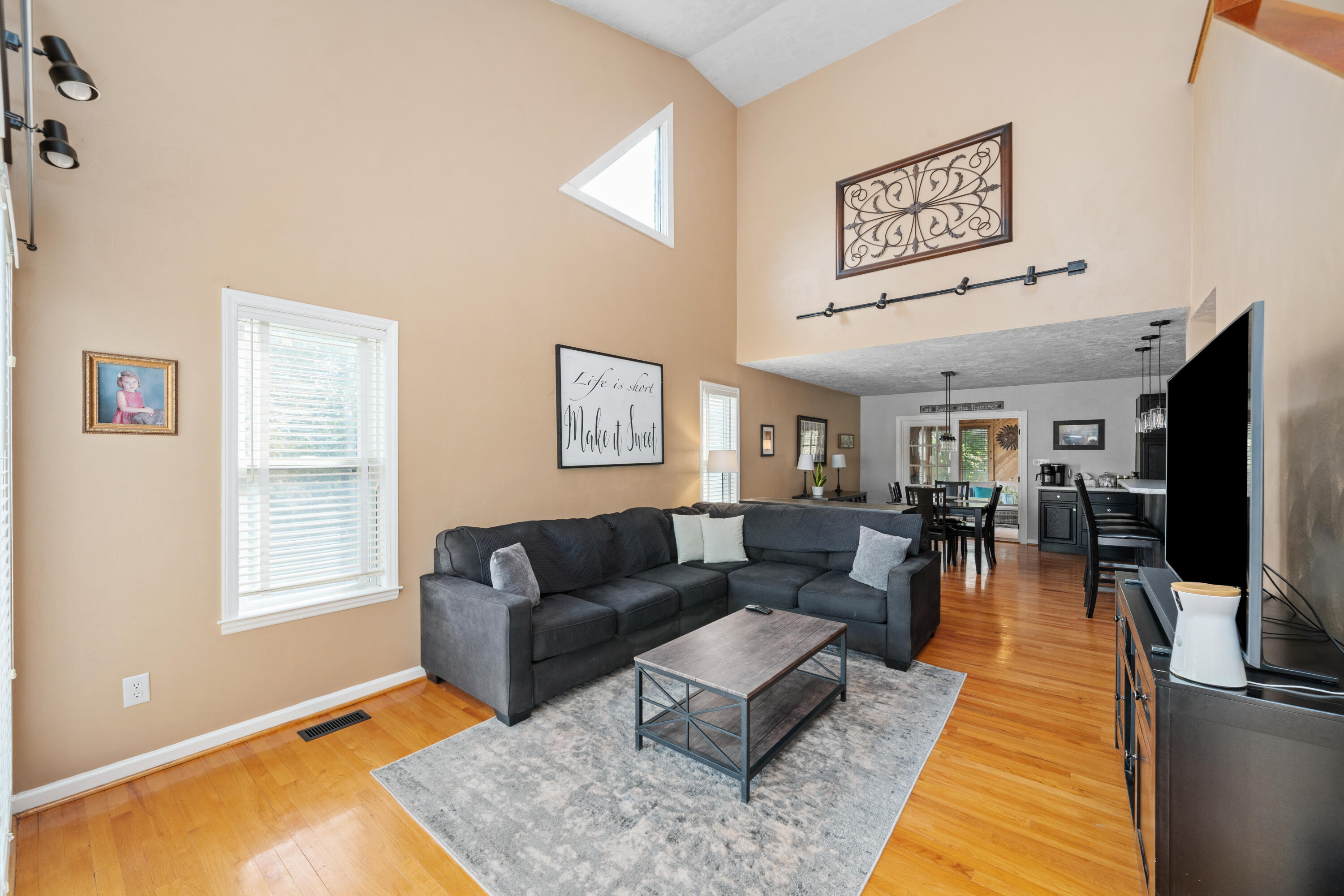 191 Pin Oak Drive Blue Ridge, VA 24064 - Photo 3 of 26 a living room with furniture and a flat screen tv