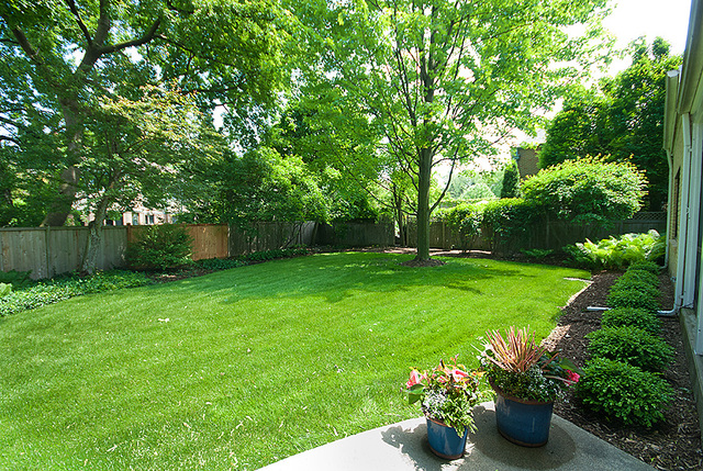 1004 Pontiac Road Wilmette, IL 60091 - Photo 25 of 28 a view of a garden with a fountain and a large tree