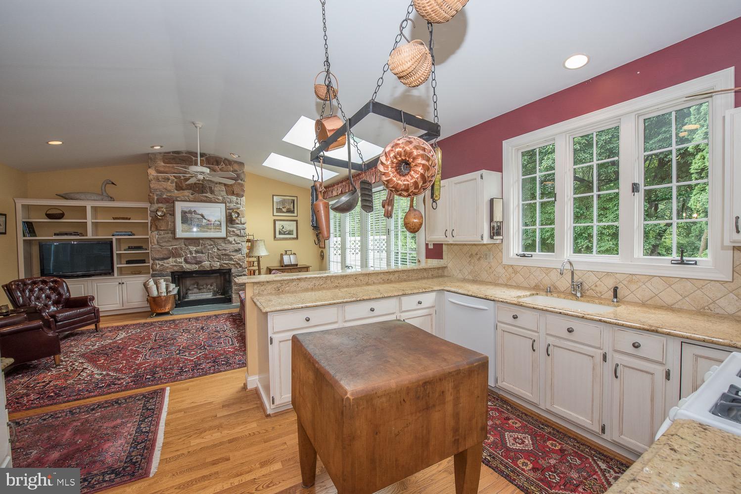 201 3 Rivers Court, Unit 101 Berwyn, PA 19312 - Photo 14 of 30 kitchen views with skylights