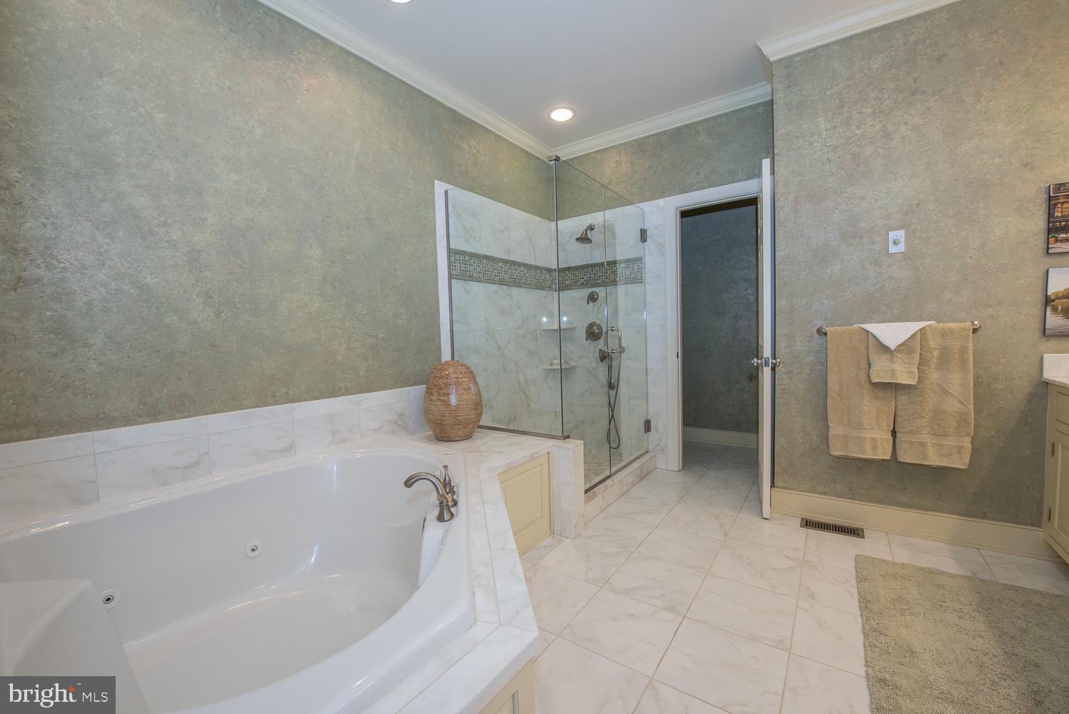 201 3 Rivers Court, Unit 101 Berwyn, PA 19312 - Photo 19 of 30 Master bath