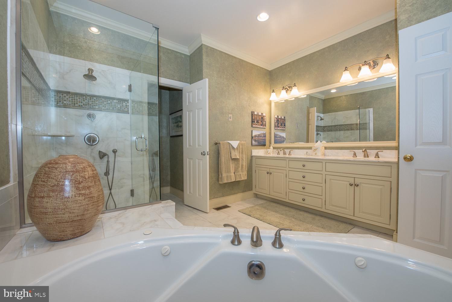 201 3 Rivers Court, Unit 101 Berwyn, PA 19312 - Photo 20 of 30 Master bath