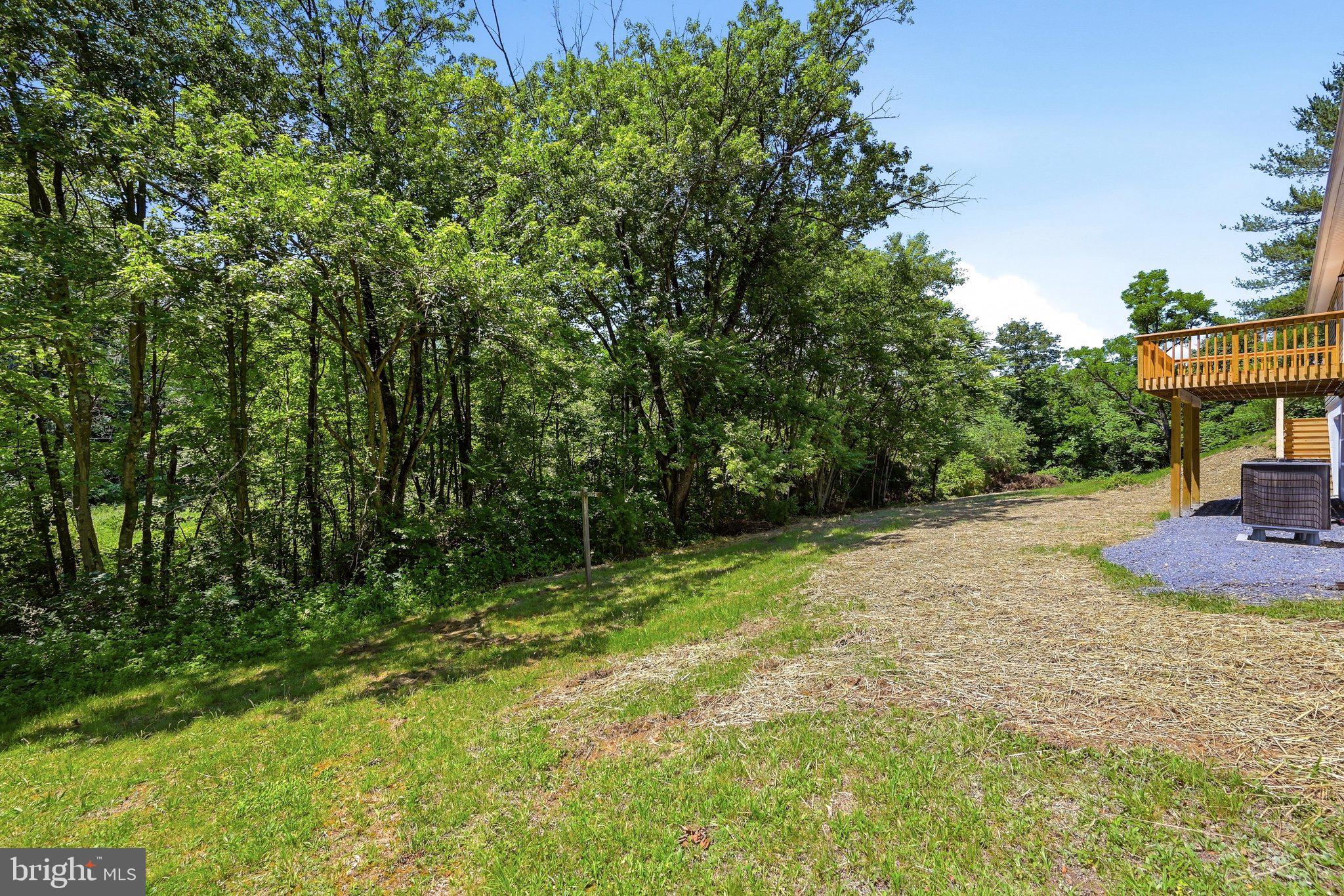 1355 Perry Road Winchester, VA 22602 - Photo 42 of 49 Backyard