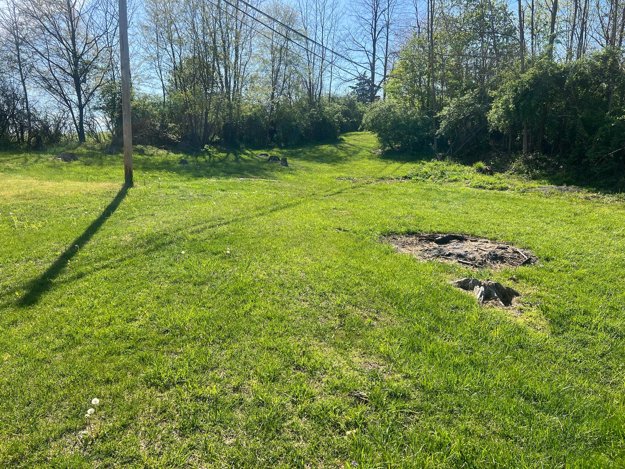 116 Boggs Road Frankford, WV 24938 - Photo 33 of 35 Gallery Image 33
