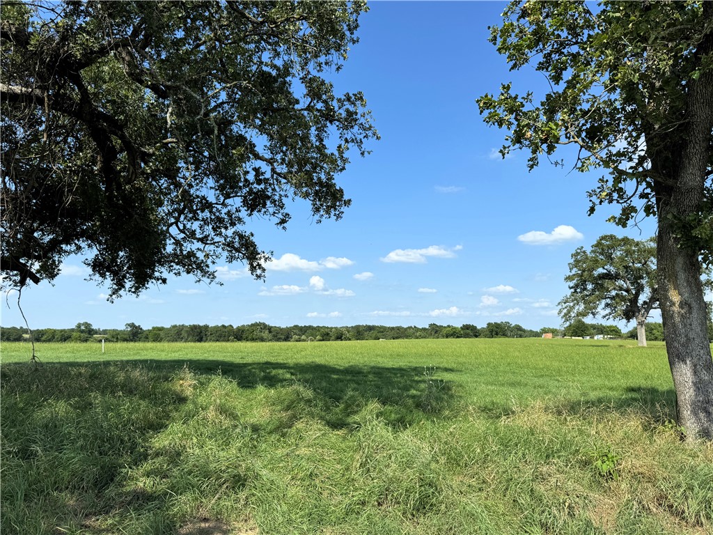 693 J W Martine Road Hearne, TX 77859 - Photo 1 of 10 a view of a golf course with a lake