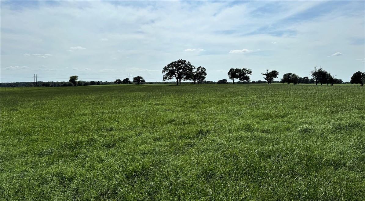 693 J W Martine Road Hearne, TX 77859 - Photo 2 of 10 a view of an ocean