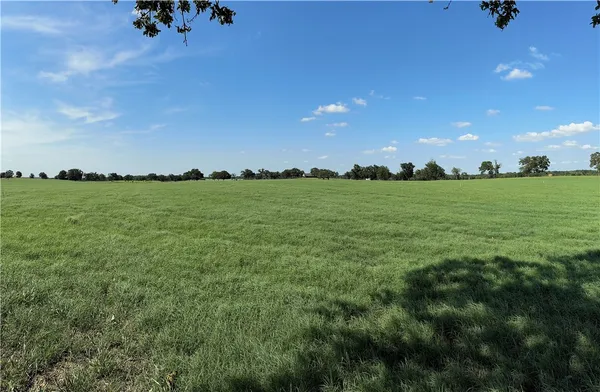 a view of a big yard of a house with a garden