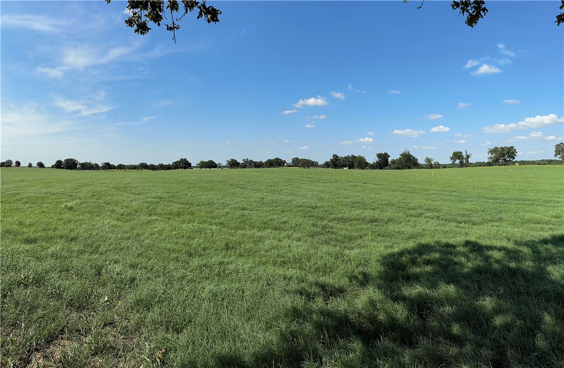 693 J W Martine Road Hearne, TX 77859 - Photo 6 of 10 a view of a big yard of a house with a garden