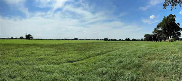a view of a field with plants and trees in the background