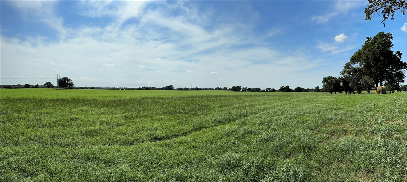 693 J W Martine Road Hearne, TX 77859 - Photo 9 of 10 a view of a field with plants and trees in the background