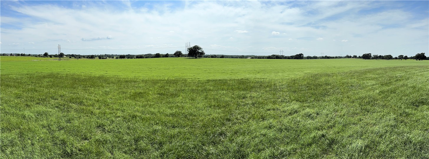 693 J W Martine Road Hearne, TX 77859 - Photo 10 of 10 an aerial view of a houses with a yard