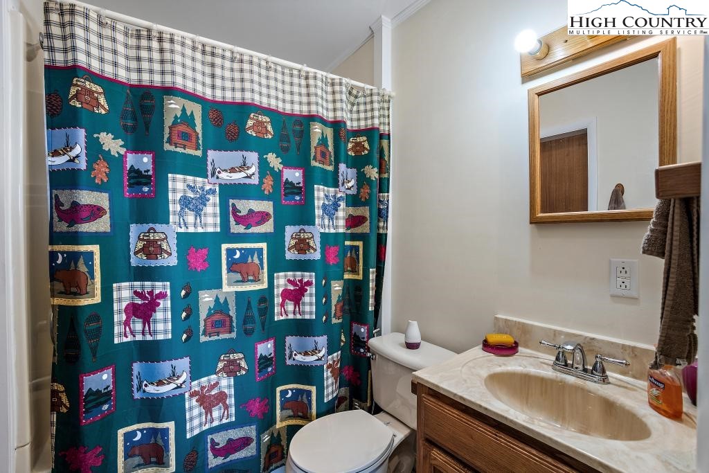 558 Blueberry Lane Boone, NC 28607 - Photo 15 of 22 Gallery Image 15