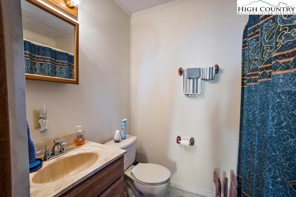 558 Blueberry Lane Boone, NC 28607 - Photo 10 of 22 Gallery Image 10