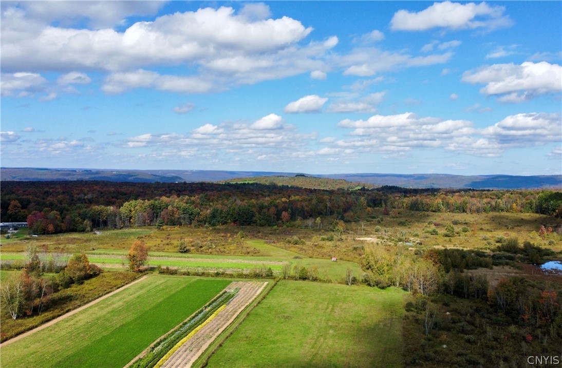 8286 Skutnik Road Floyd, NY 13354 - Photo 14 of 15 Scene from across the road