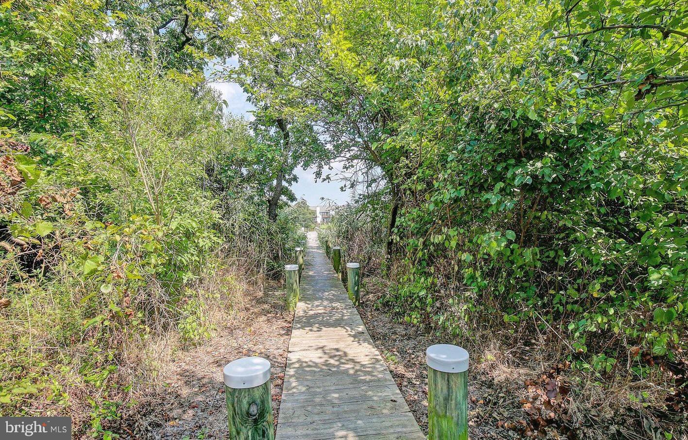 116 Anthony Lane Stevensville, MD 21666 - Photo 41 of 43 Path to community pier