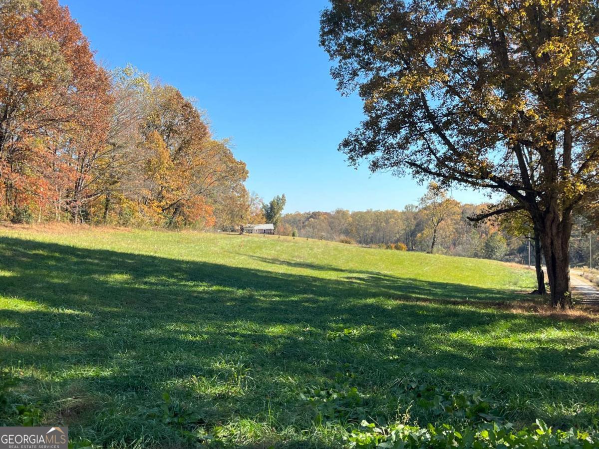 0 Freeman View Trail, Unit LOT 2 Cleveland, GA 30528 - Photo 15 of 20