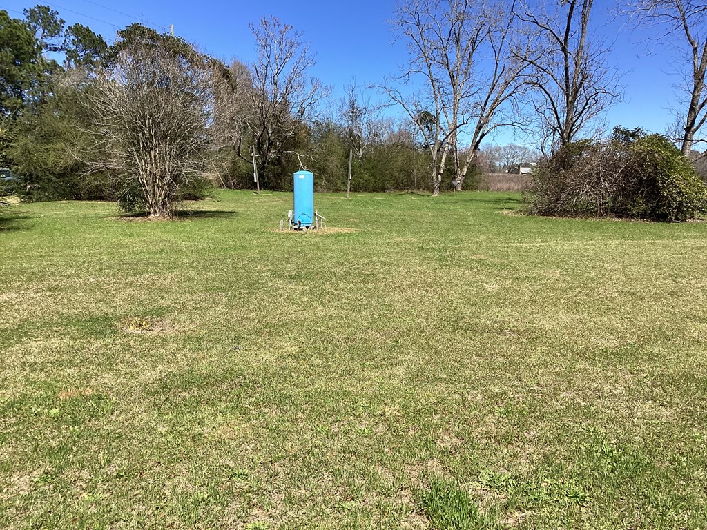 0 Benton Store Road Columbia, AL 36319 - Photo 8 of 24