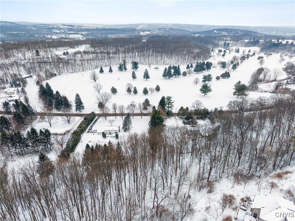 1077 Nottingham Road De Witt, NY 13078 - Photo 11 of 20