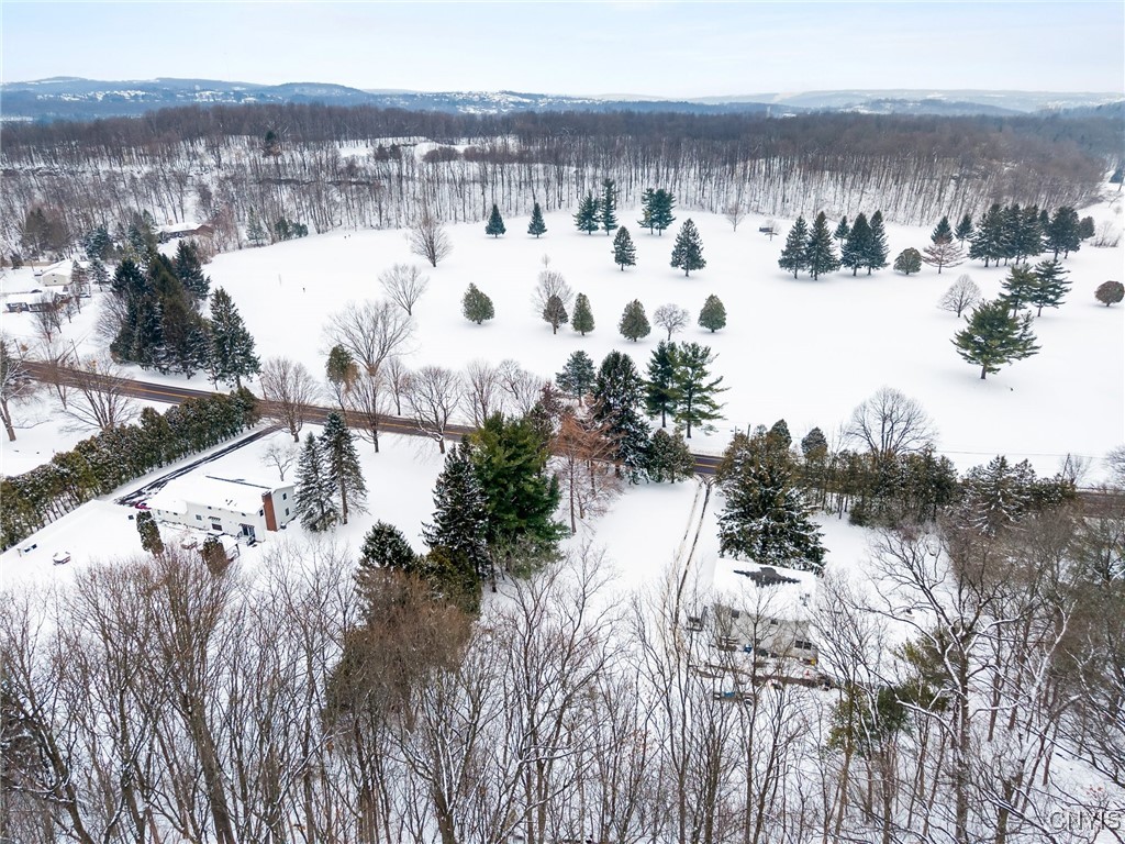 1077 Nottingham Road De Witt, NY 13078 - Photo 12 of 20